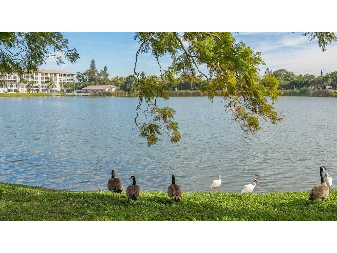 3845 Lake Bayshore Drive #F103 Bradenton FL 34205 N6138113 image35