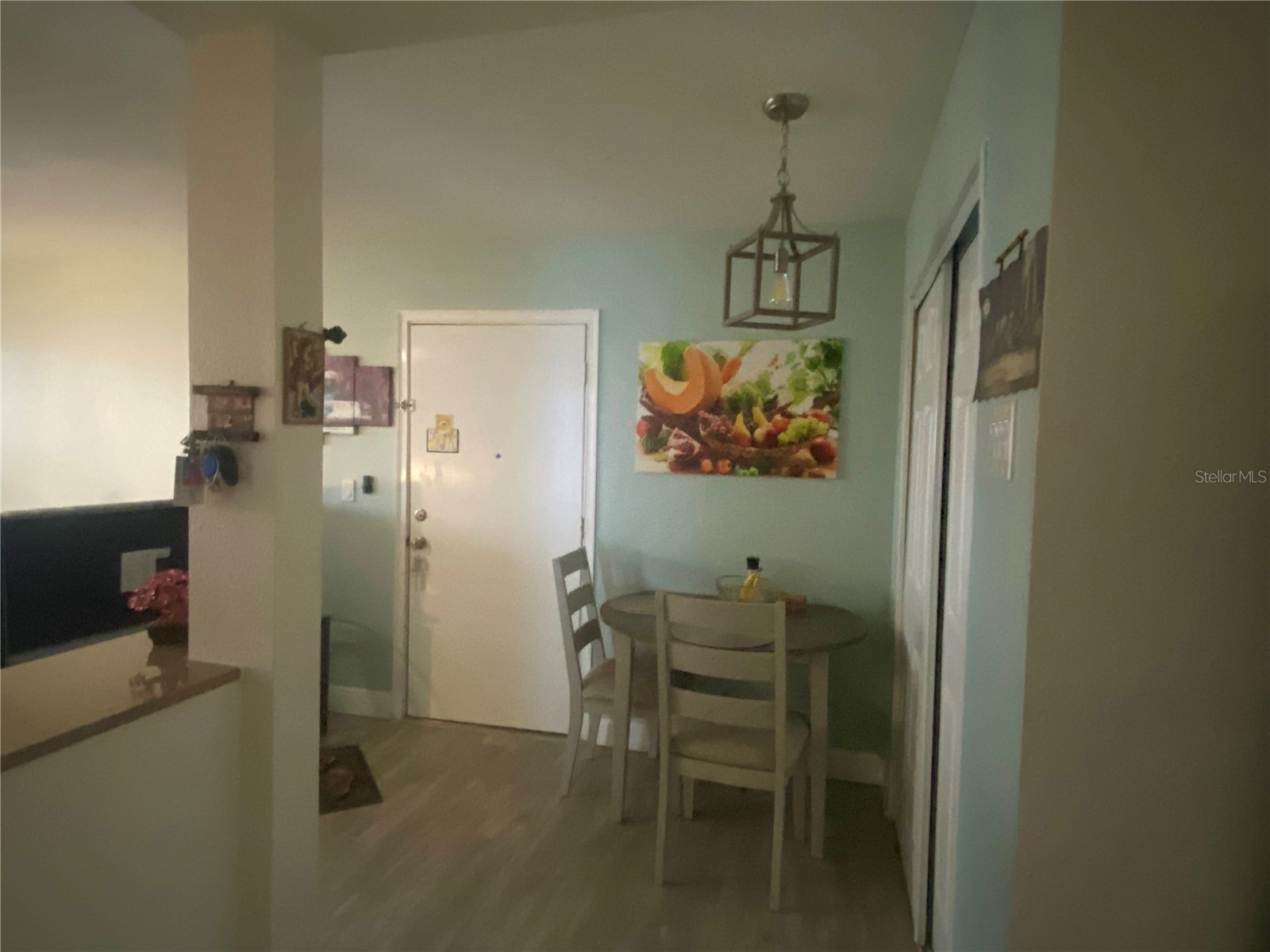 3845 S Lake Drive #191 Tampa FL 33614 TB8463478 image23