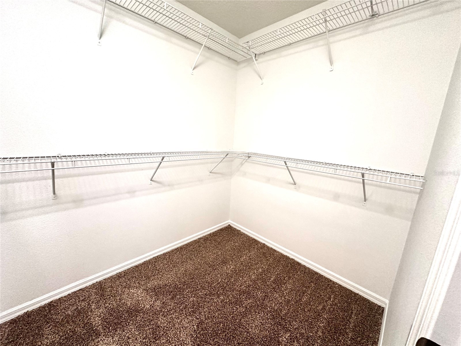 3845 Silverbell Loop Oviedo FL 32765 O6419088 image22