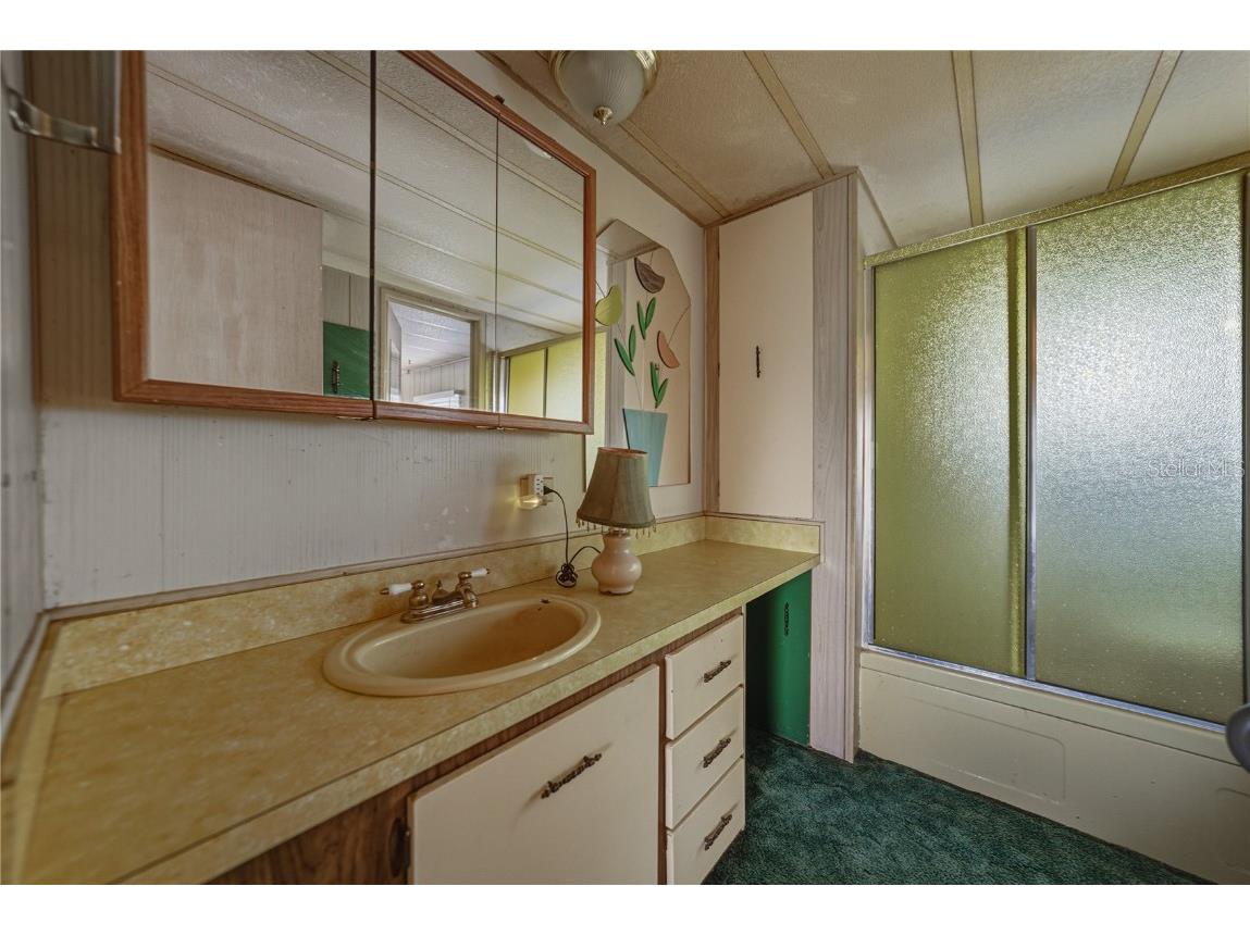 38452 Beniger Drive Zephyrhills FL 33540 TB8446352 image16