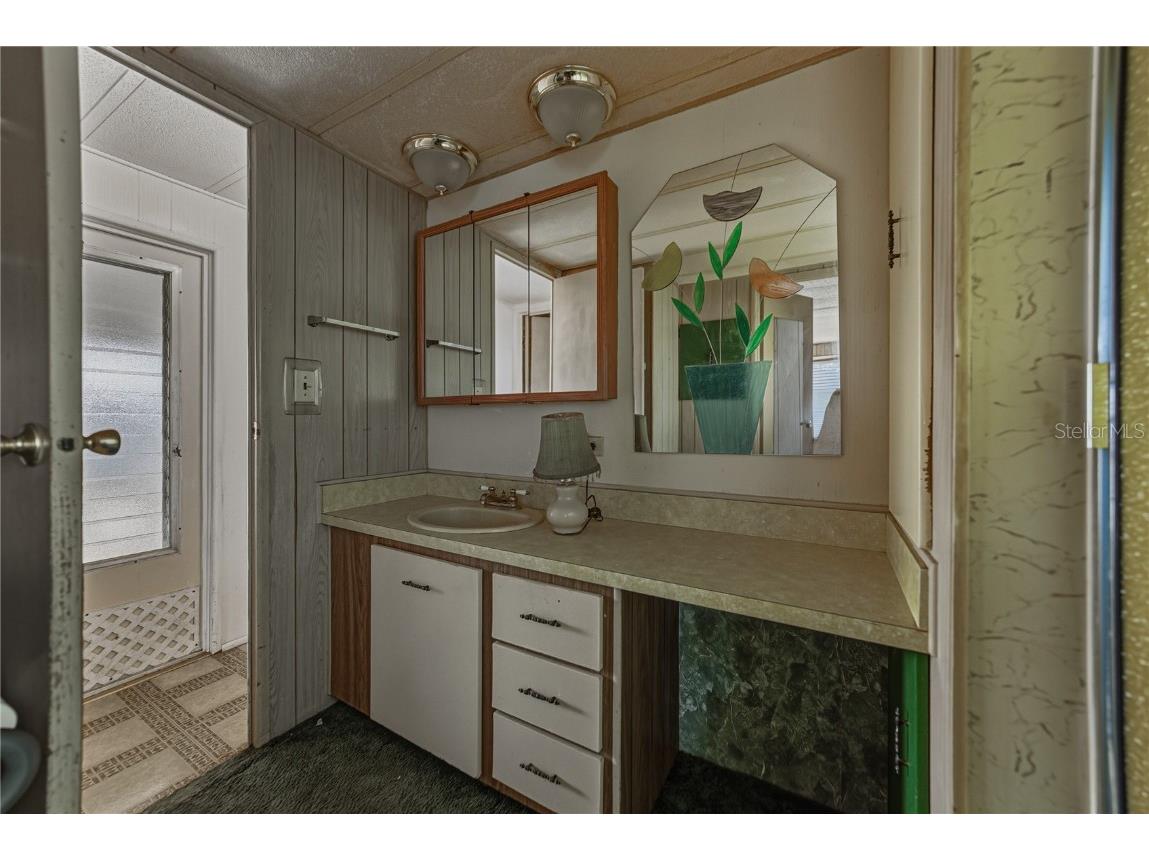 38452 Beniger Drive Zephyrhills FL 33540 TB8446352 image18