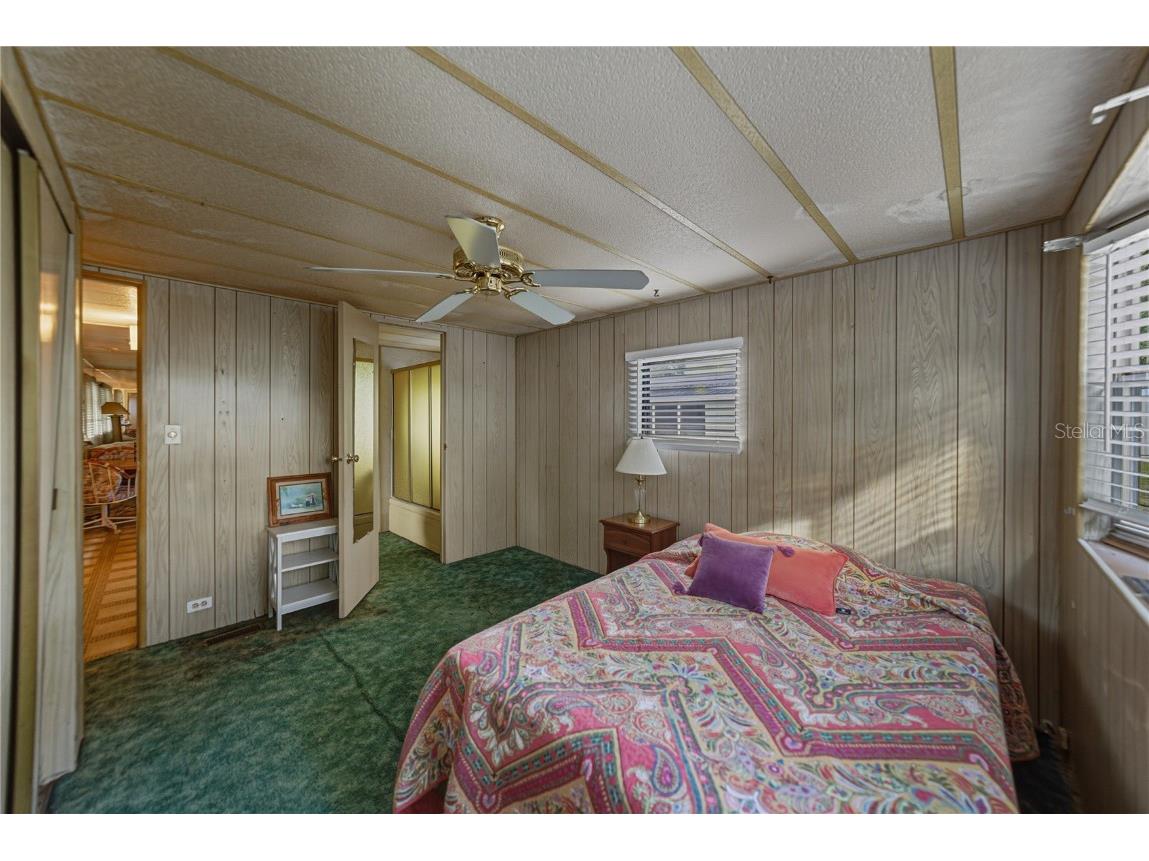 38452 Beniger Drive Zephyrhills FL 33540 TB8446352 image20