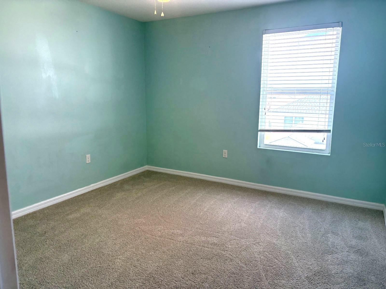 3846 Crystal Dew Street Plant City FL 33567 L4962195 image37