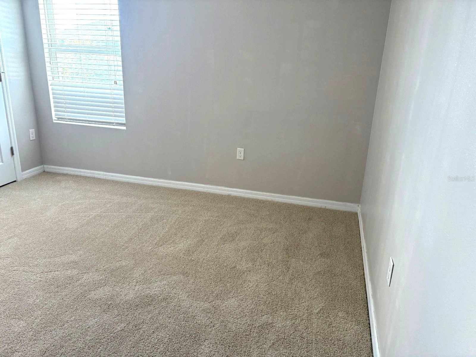 3846 Crystal Dew Street Plant City FL 33567 L4962195 image38