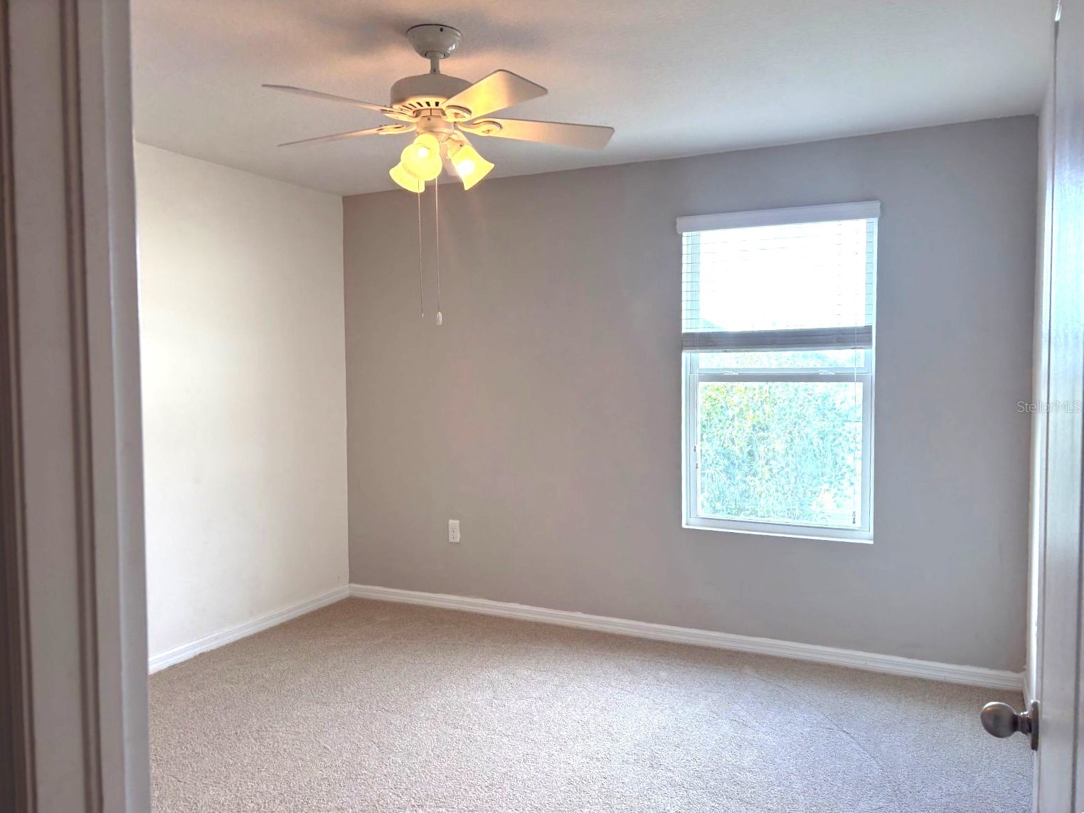 3846 Crystal Dew Street Plant City FL 33567 L4962195 image39