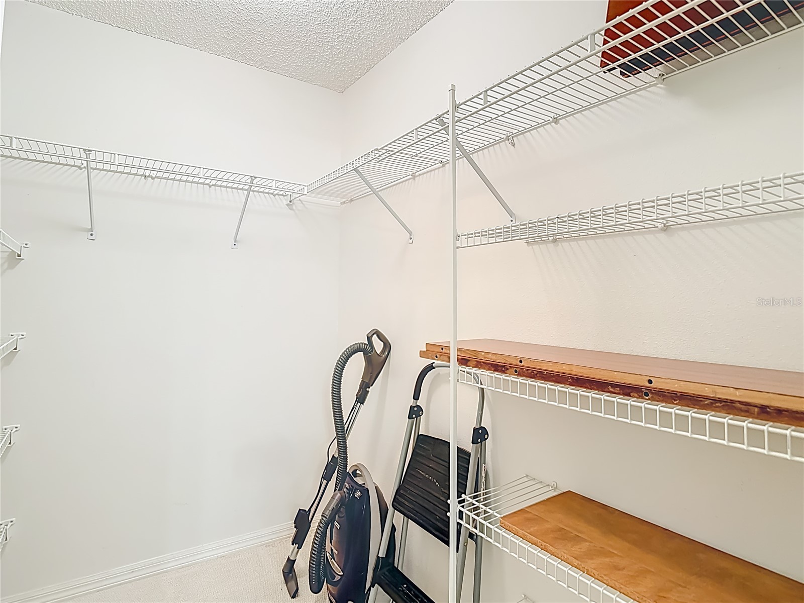 38460 Cottonwood Place #38460 Zephyrhills FL 33542 L4958957 image34