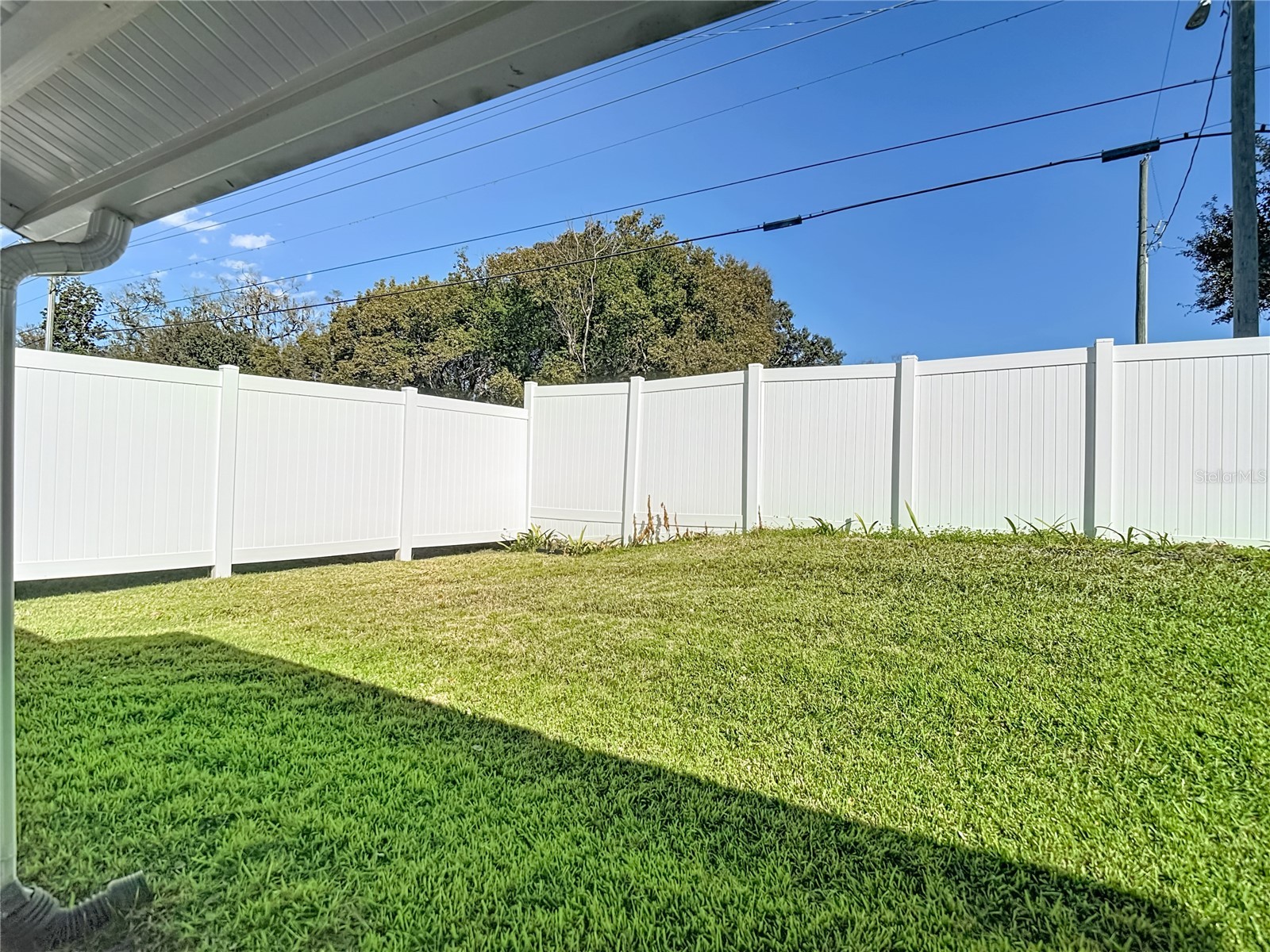 38460 Cottonwood Place #38460 Zephyrhills FL 33542 L4958957 image36