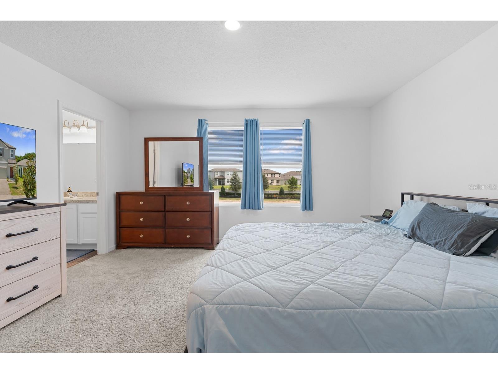 38465 Honeysuckle Drive Dade City FL 33525 TB8528492 image21