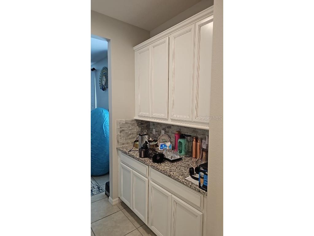 3847 Carrick Bend Drive Kissimmee FL 34746 O6350619 image16