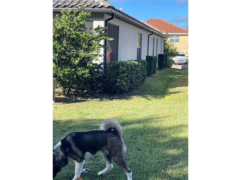 3847 Carrick Bend Drive Kissimmee FL 34746 O6350619 image51