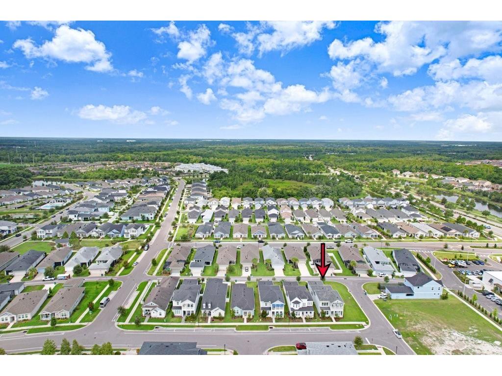 3847 Lajuana Boulevard Wesley Chapel FL 33543 TB8523743 image45