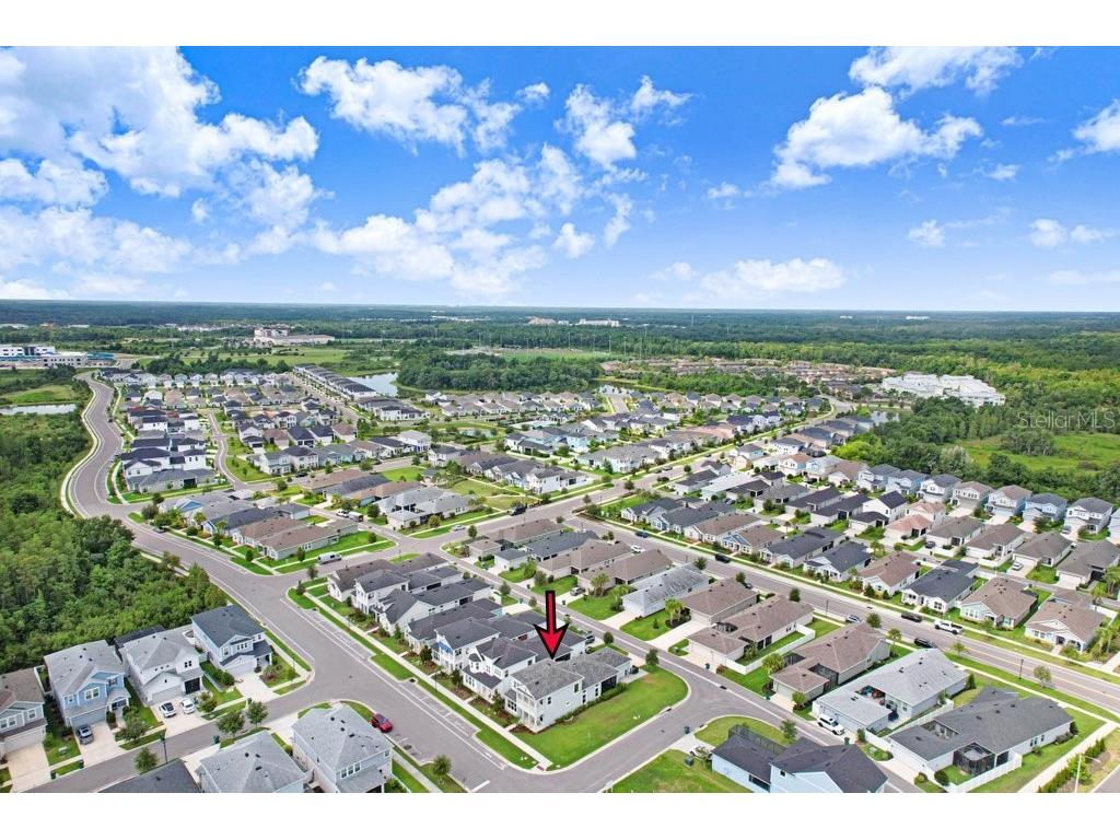 3847 Lajuana Boulevard Wesley Chapel FL 33543 TB8523743 image46