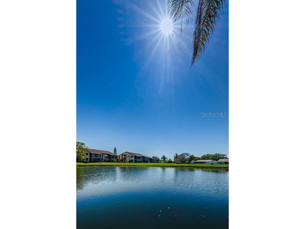 3847 Lighthouse Way #3847 New Port Richey FL 34652 TB8375673 image62