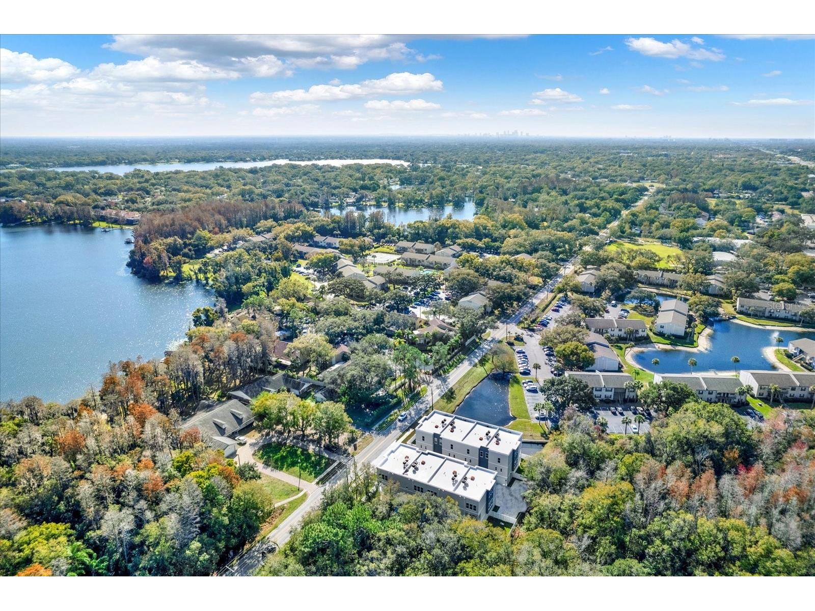 3847 Seena Manor Court Tampa FL 33618 TB8452671 image43