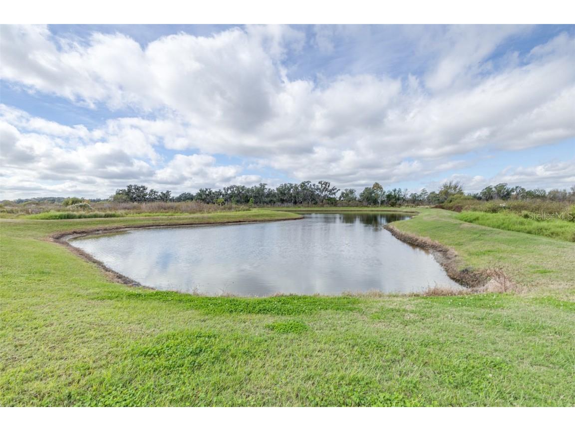 3847 Sunny Spring Street Plant City FL 33565 TB8453453 image49