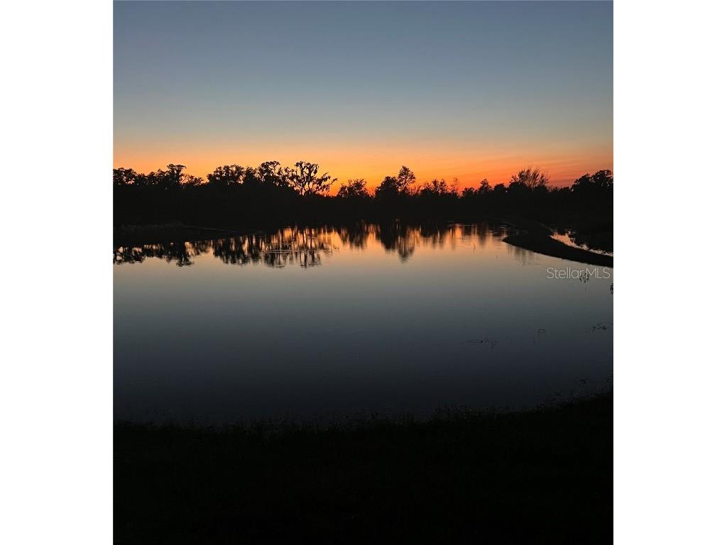 3847 Sunny Spring Street Plant City FL 33565 TB8453453 image50