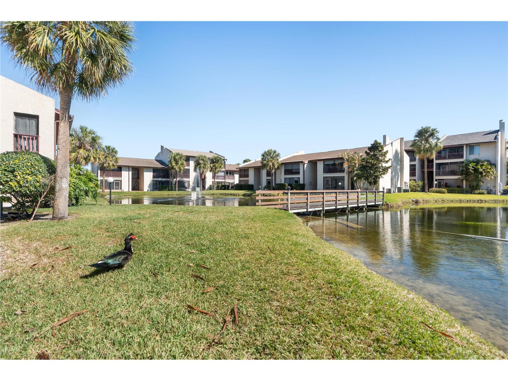 3848 N Lake Drive #137 Tampa FL 33614 W7883301 image24