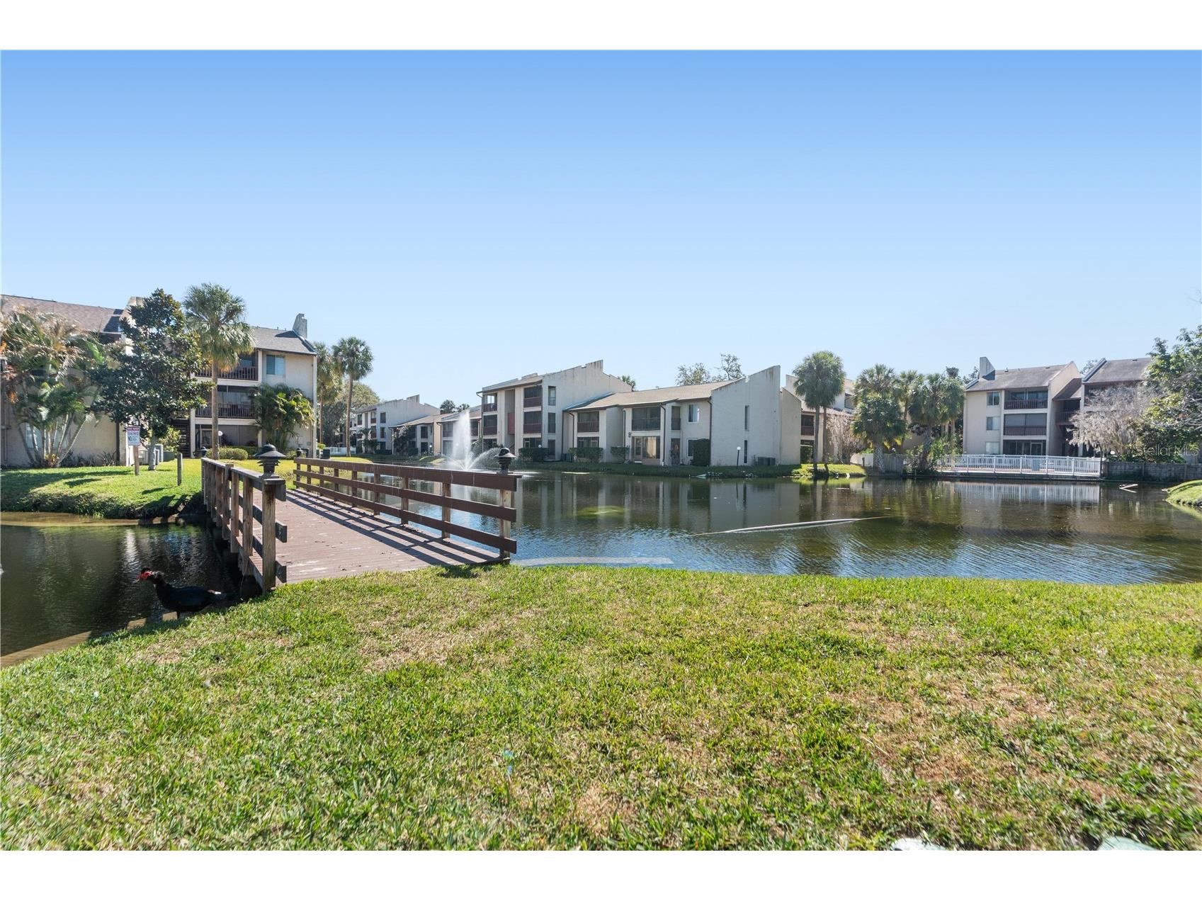 3848 N Lake Drive #137 Tampa FL 33614 W7883301 image25