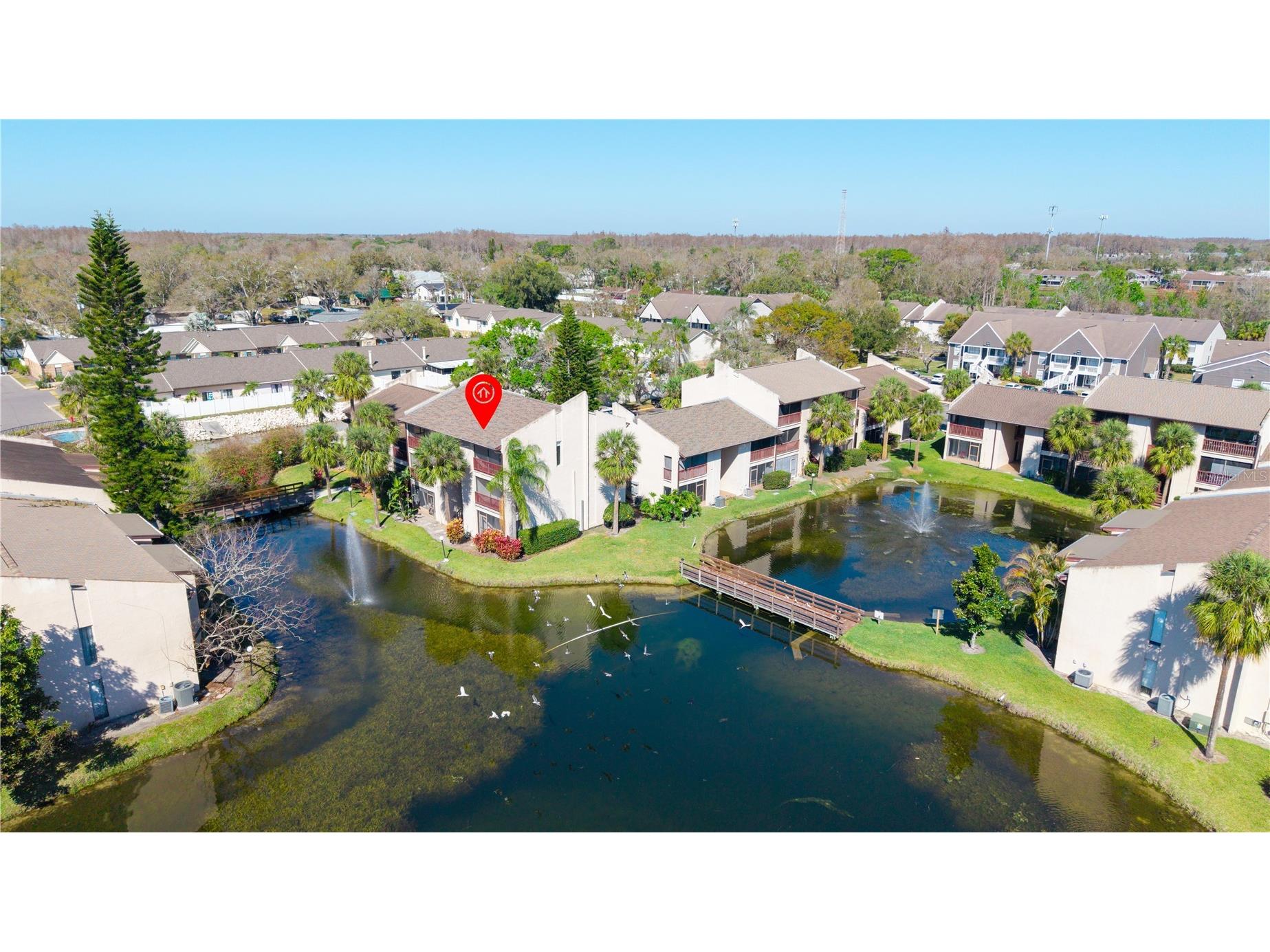 3848 N Lake Drive #137 Tampa FL 33614 W7883301 image27