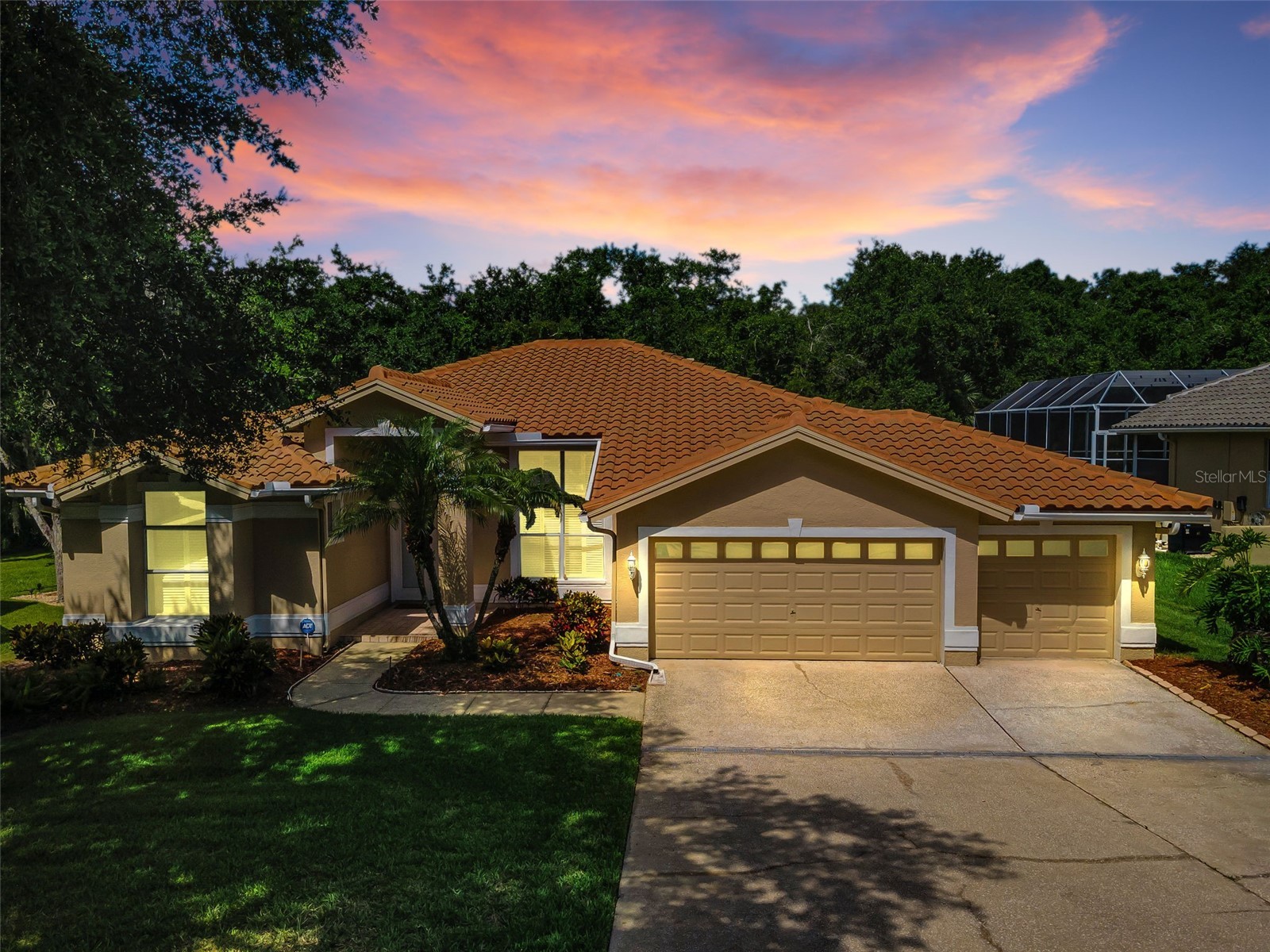 3848 Tarian Court Palm Harbor FL 34684 TB8527682 image1