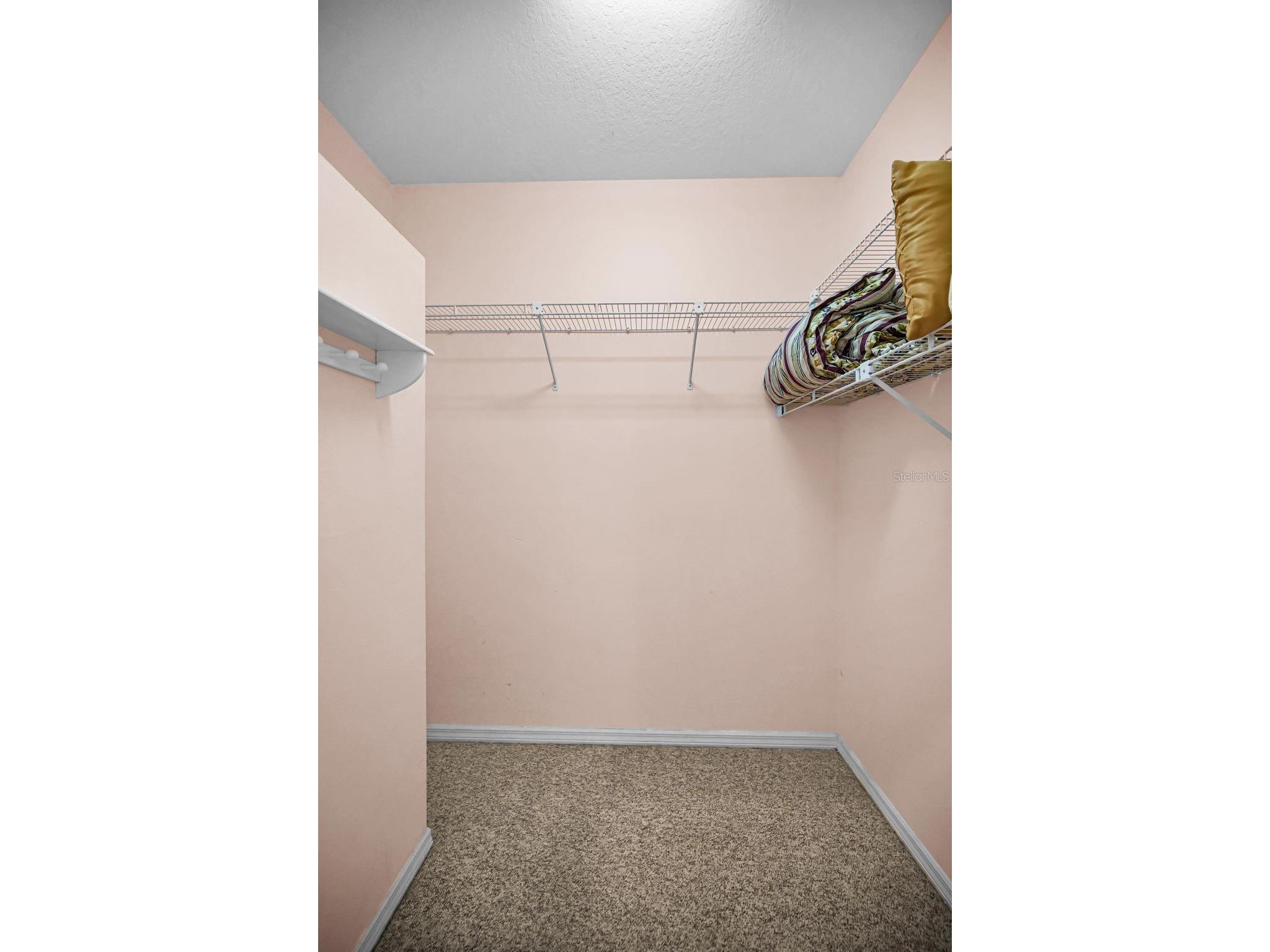 3848 Tarian Court Palm Harbor FL 34684 TB8527682 image25