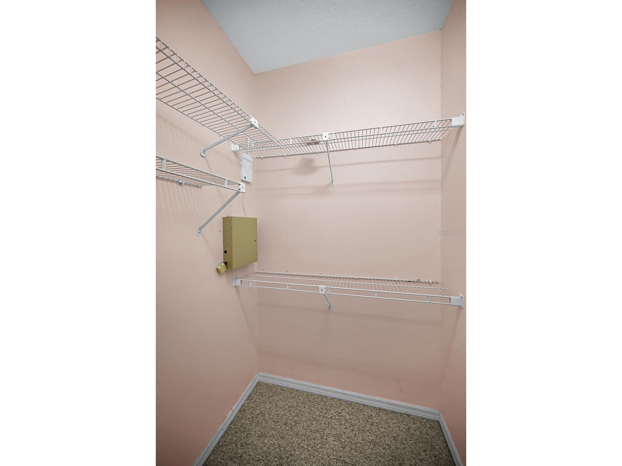 3848 Tarian Court Palm Harbor FL 34684 TB8527682 image26