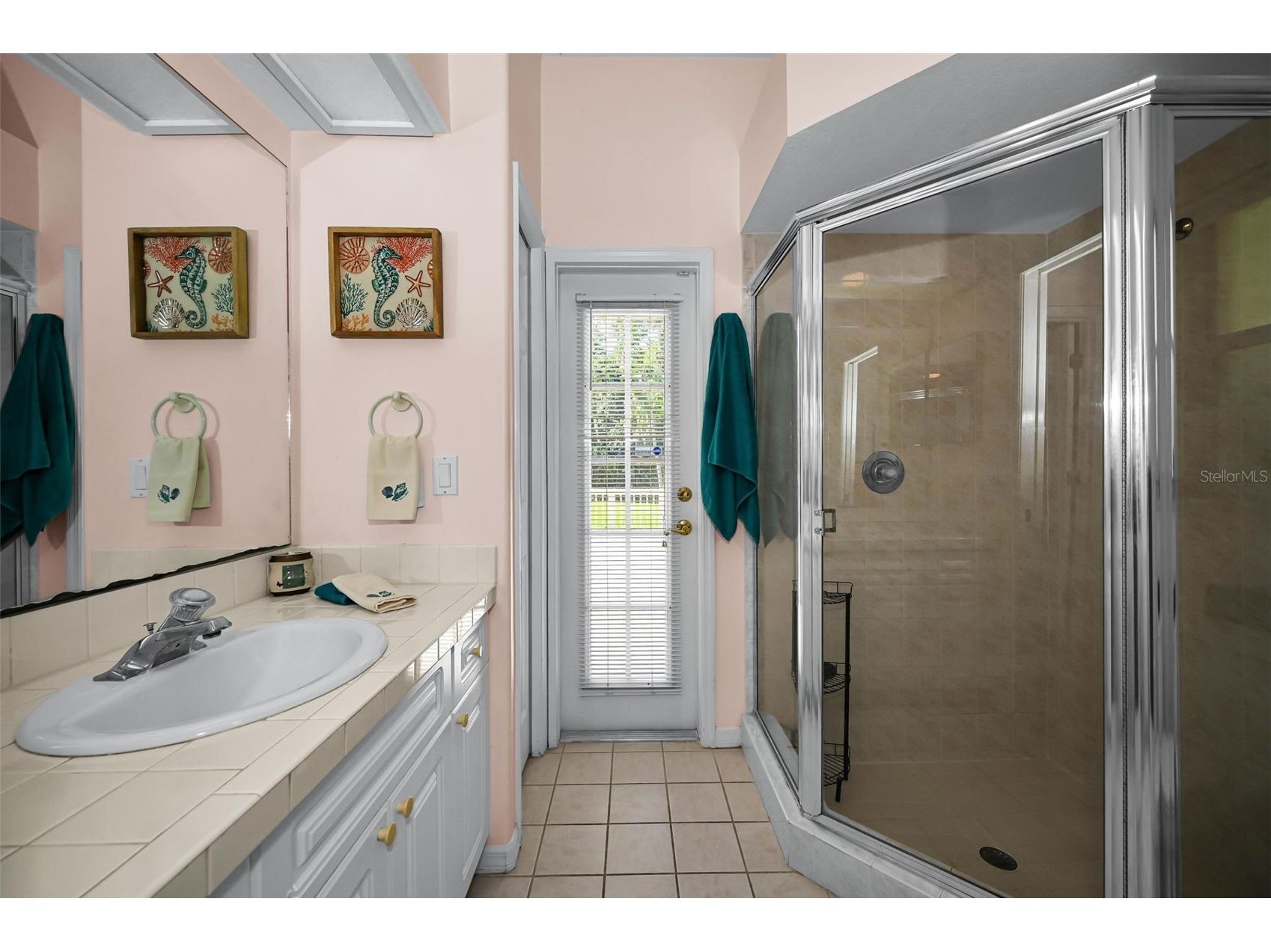 3848 Tarian Court Palm Harbor FL 34684 TB8527682 image33