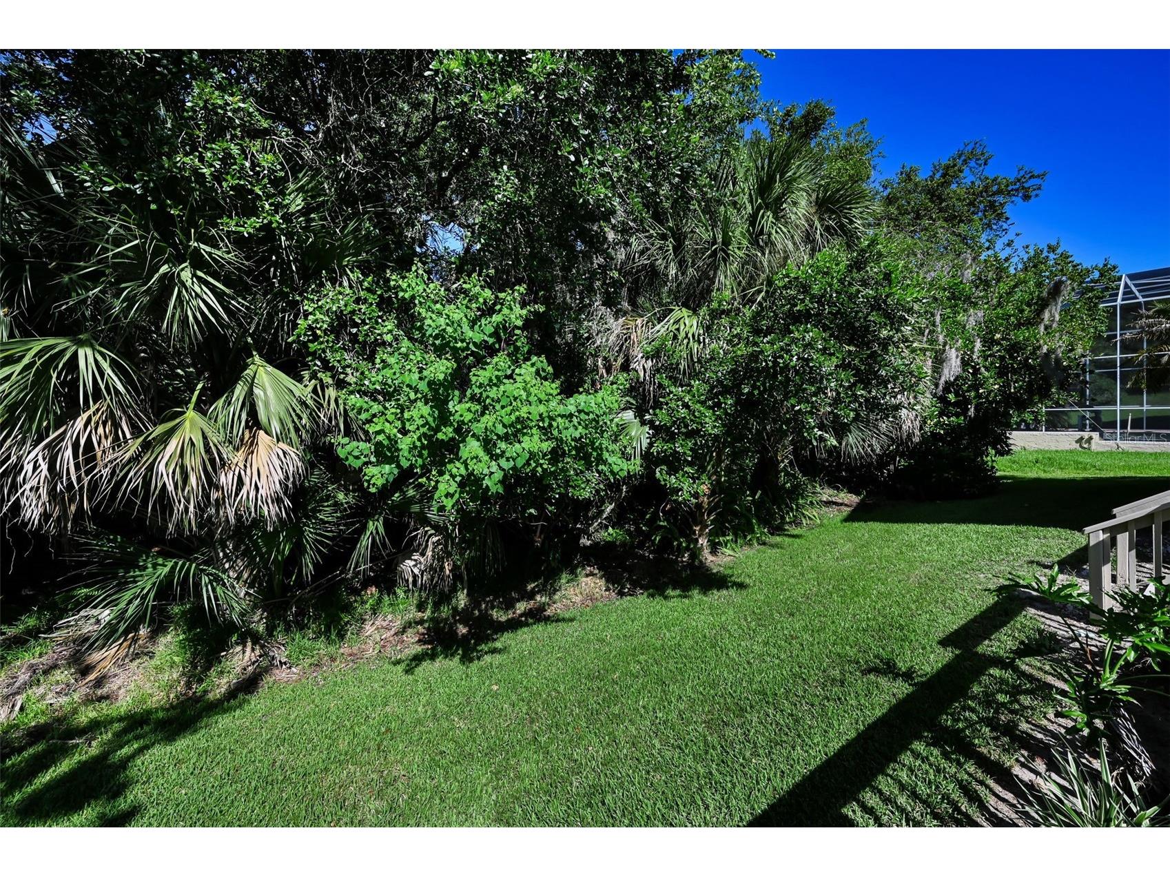 3848 Tarian Court Palm Harbor FL 34684 TB8527682 image37