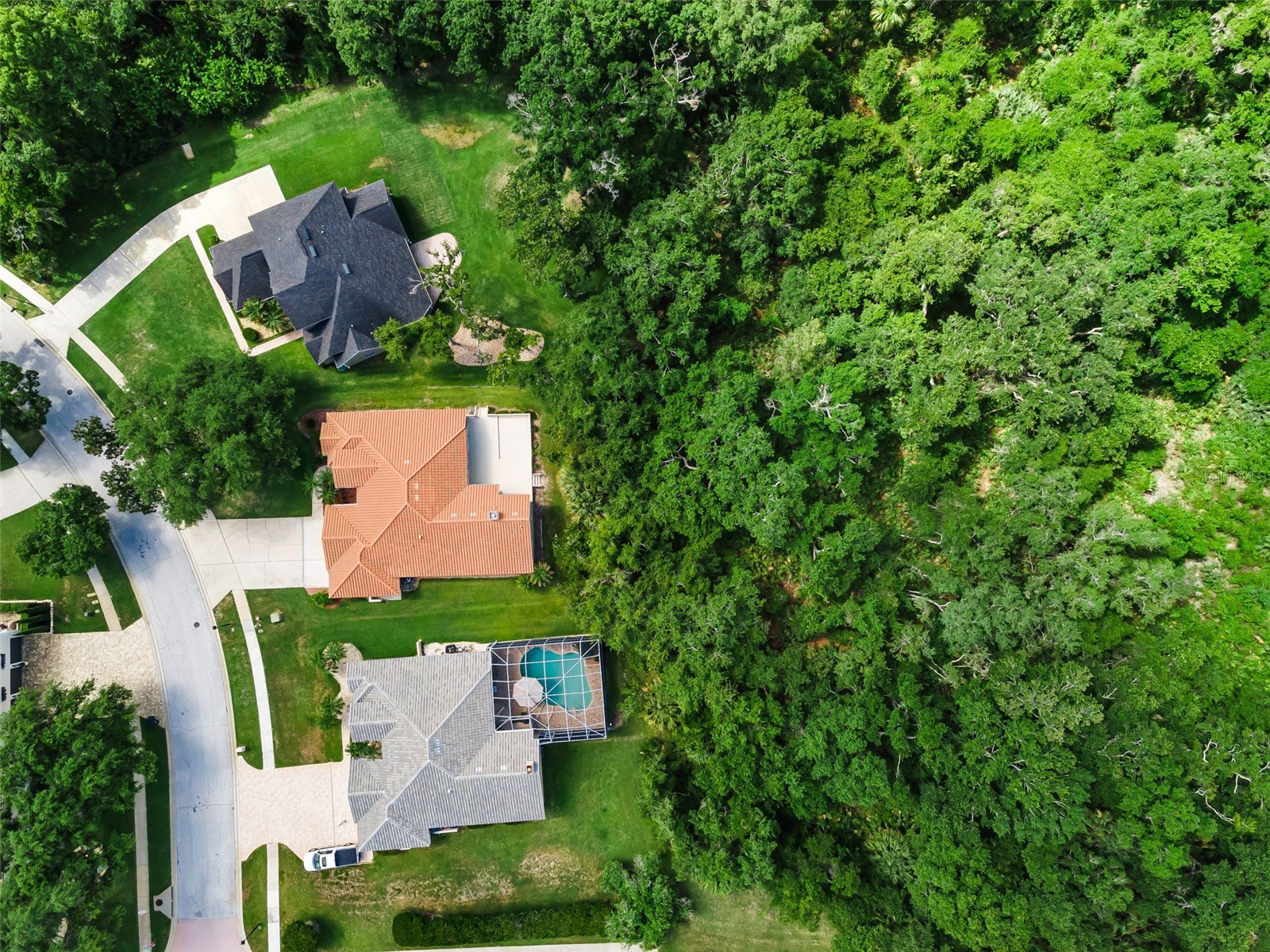 3848 Tarian Court Palm Harbor FL 34684 TB8527682 image41
