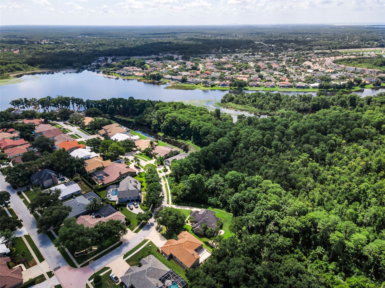 3848 Tarian Court Palm Harbor FL 34684 TB8527682 image42