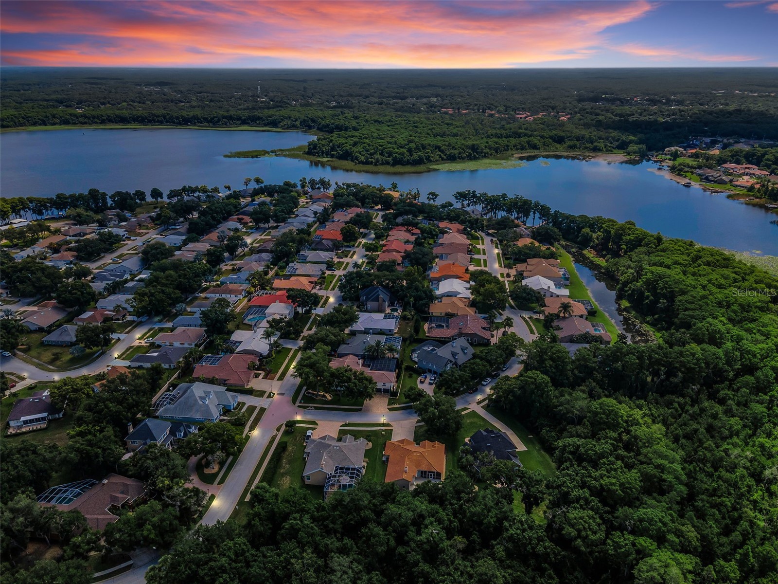 3848 Tarian Court Palm Harbor FL 34684 TB8527682 image43