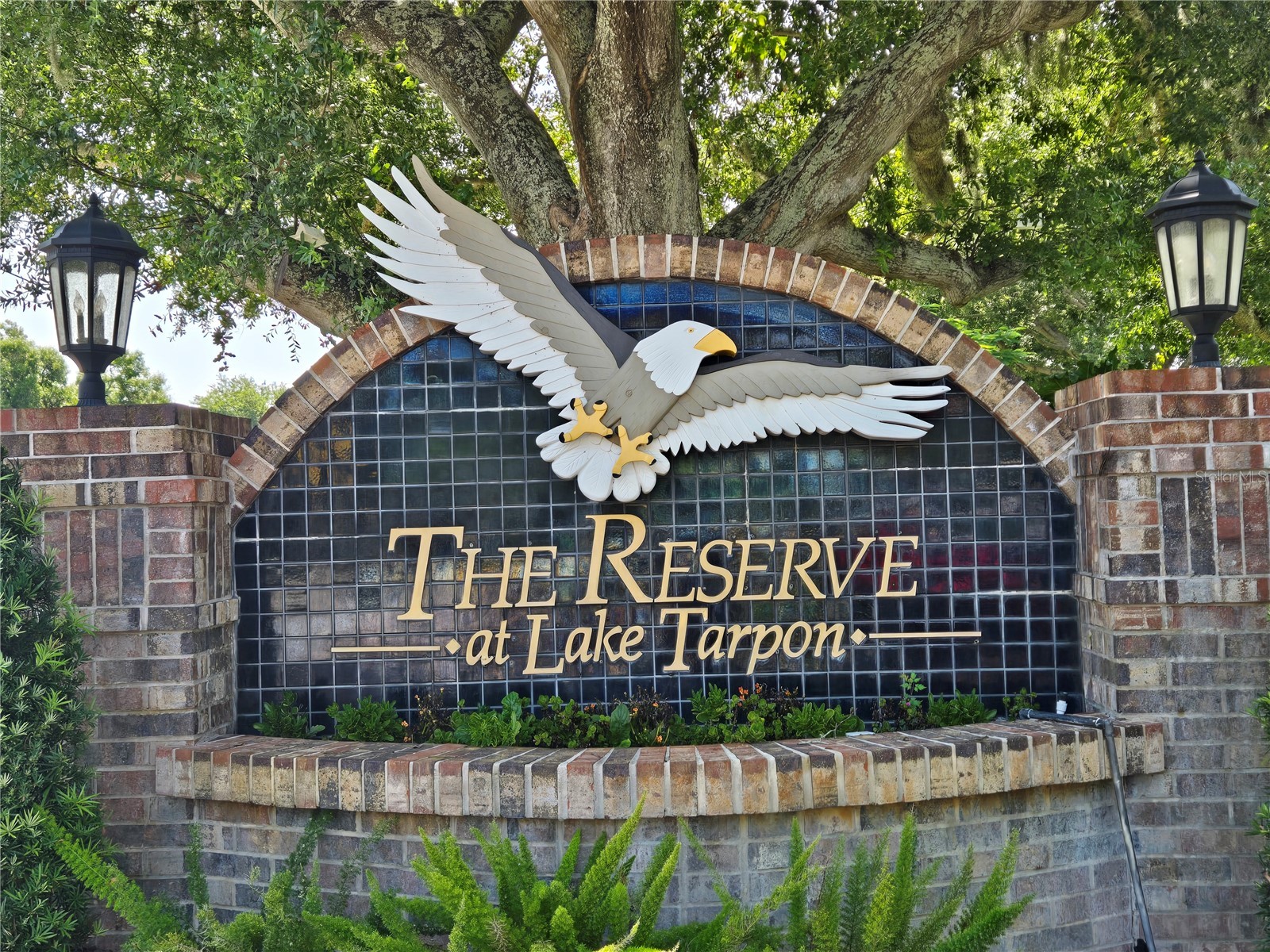 3848 Tarian Court Palm Harbor FL 34684 TB8527682 image5
