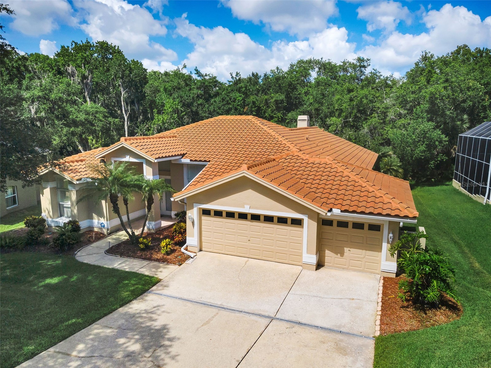 3848 Tarian Court Palm Harbor FL 34684 TB8527682 image7