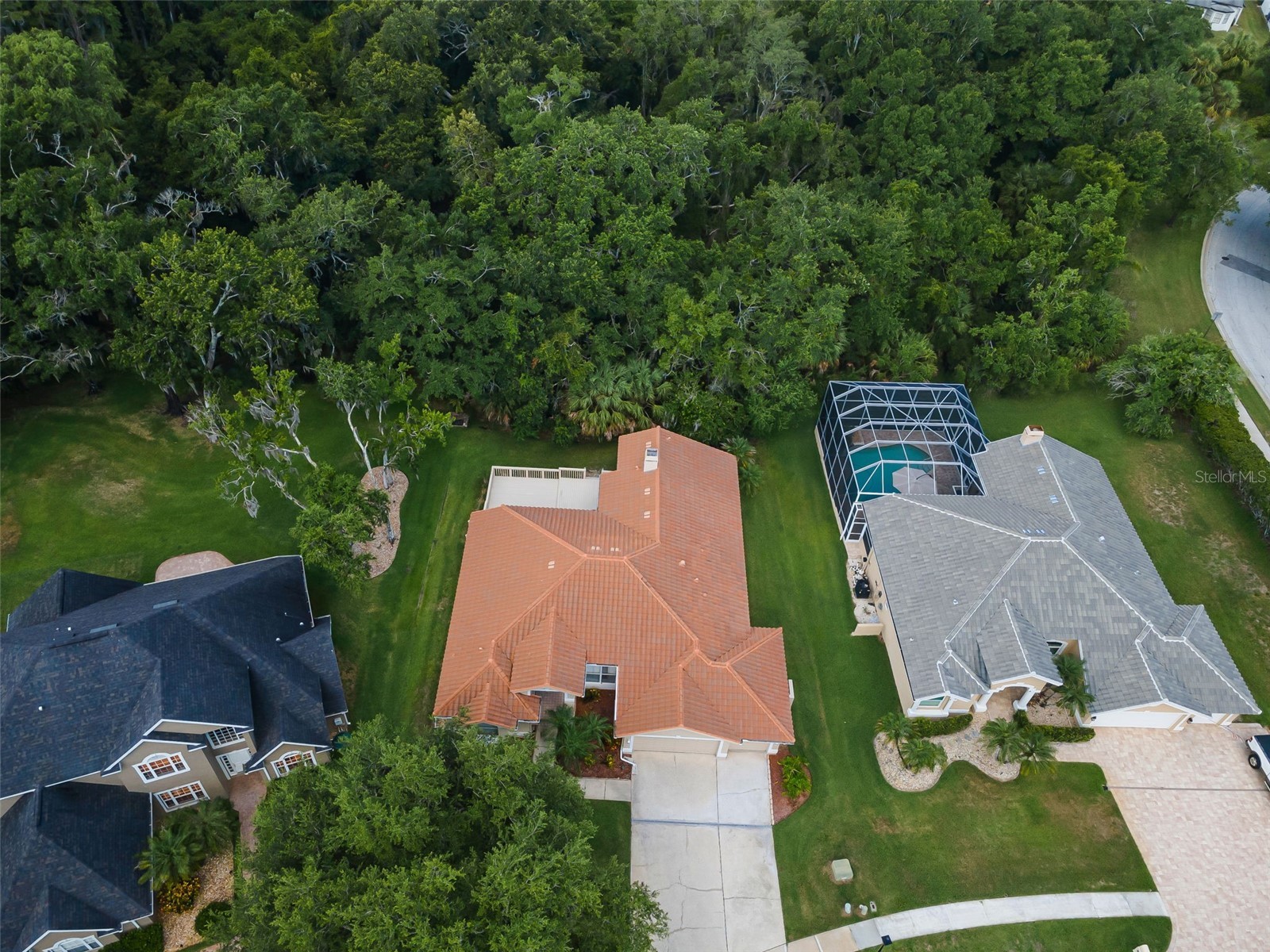 3848 Tarian Court Palm Harbor FL 34684 TB8527682 image8