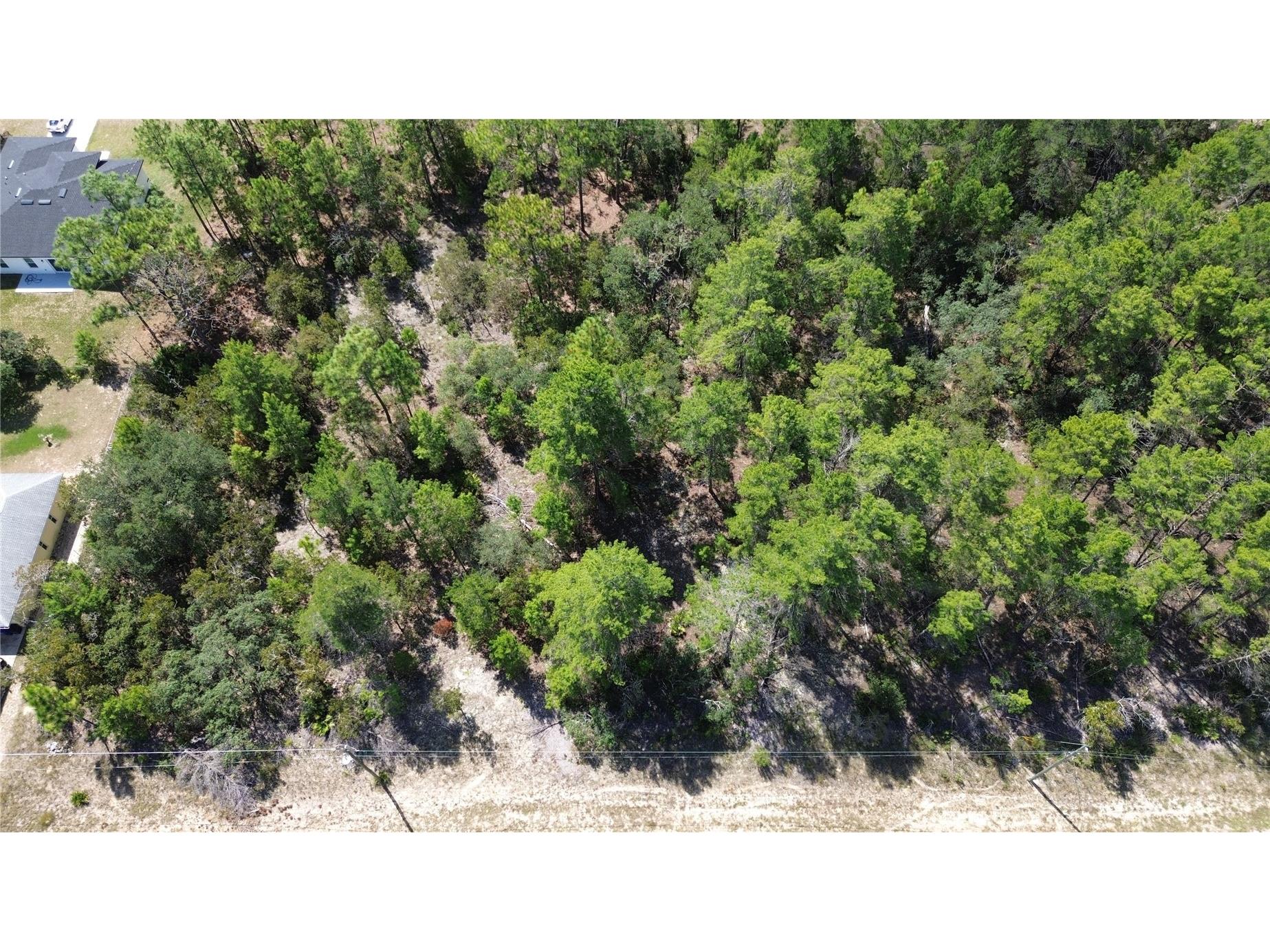 3848 W Keene Lane Citrus Springs FL 34433 TB8429923 image2