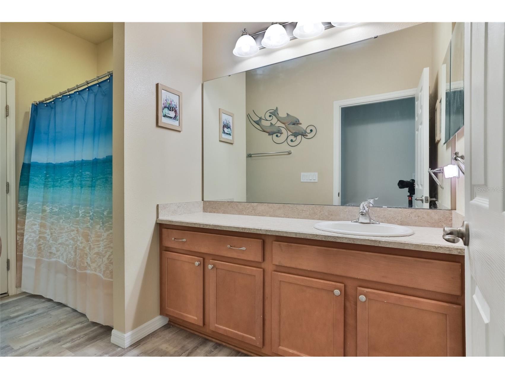3849 Bourbon Street Port Orange FL 32129 O6415836 image39
