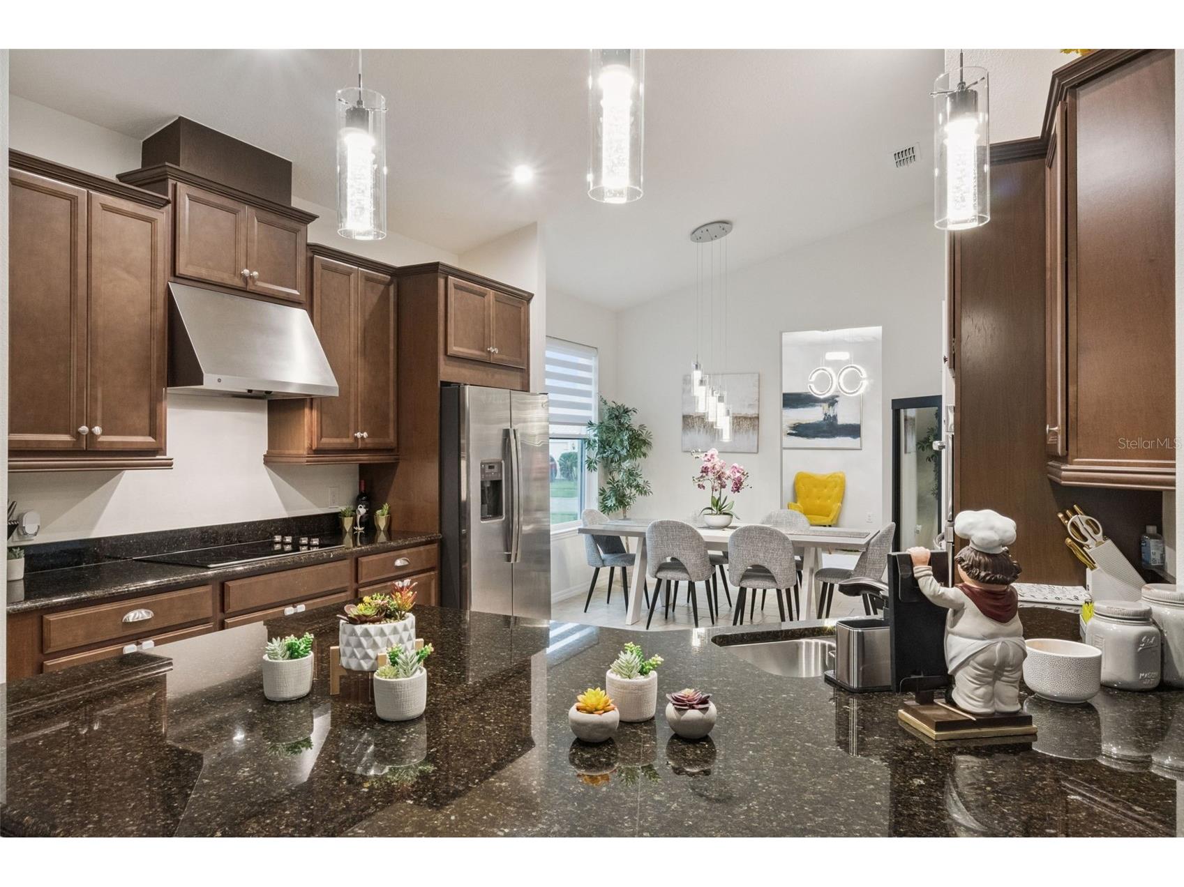 3849 Carrick Bend Drive Kissimmee FL 34746 O6412400 image11