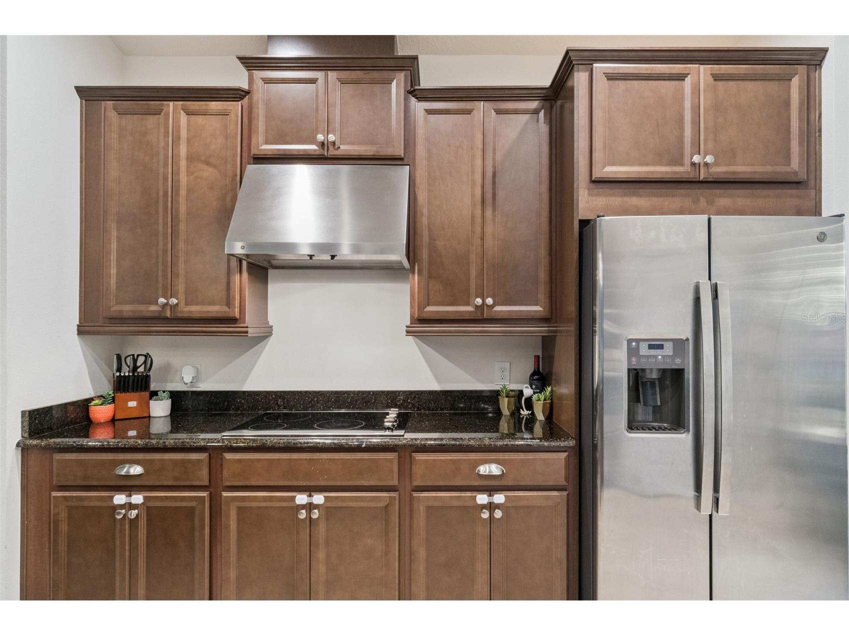 3849 Carrick Bend Drive Kissimmee FL 34746 O6412400 image13