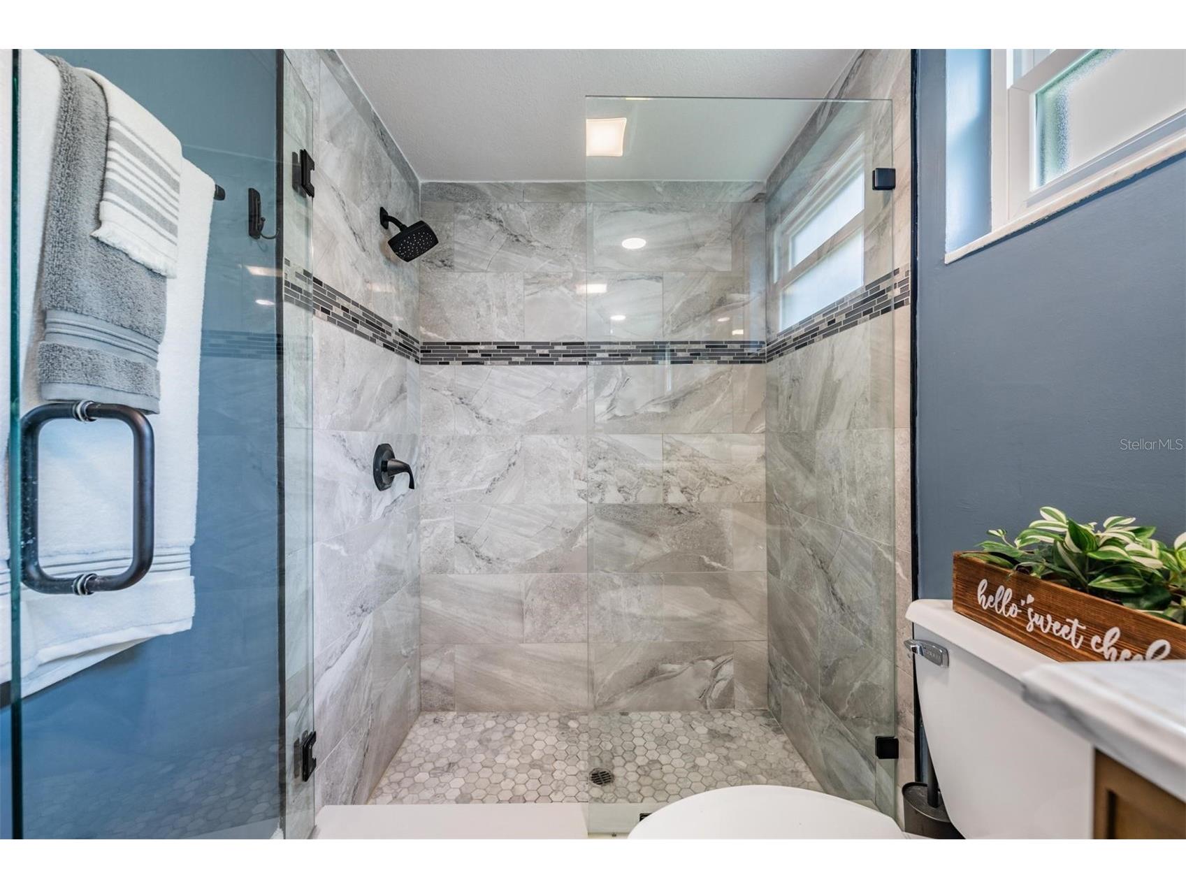 3849 Claremont Drive New Port Richey FL 34652 W7882216 image14
