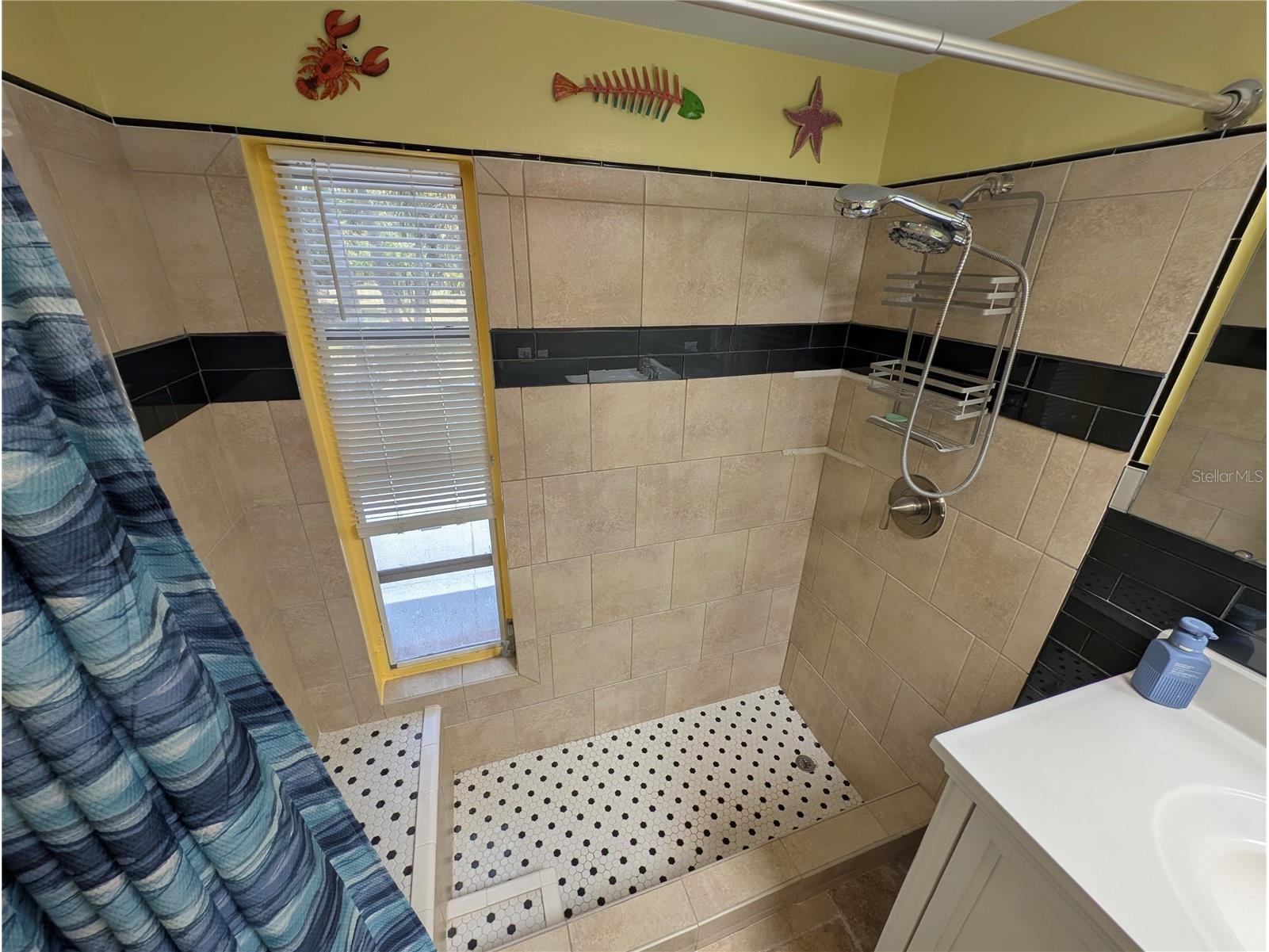 3849 Edgemont Drive New Port Richey FL 34652 W7887221 image13