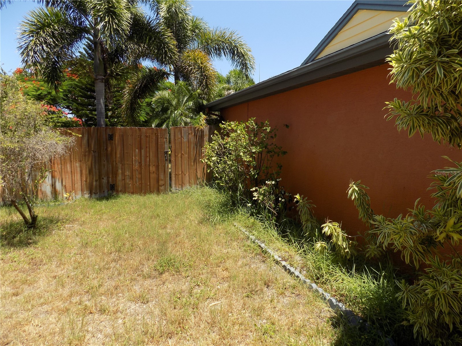 3849 Edgemont Drive New Port Richey FL 34652 W7887221 image23