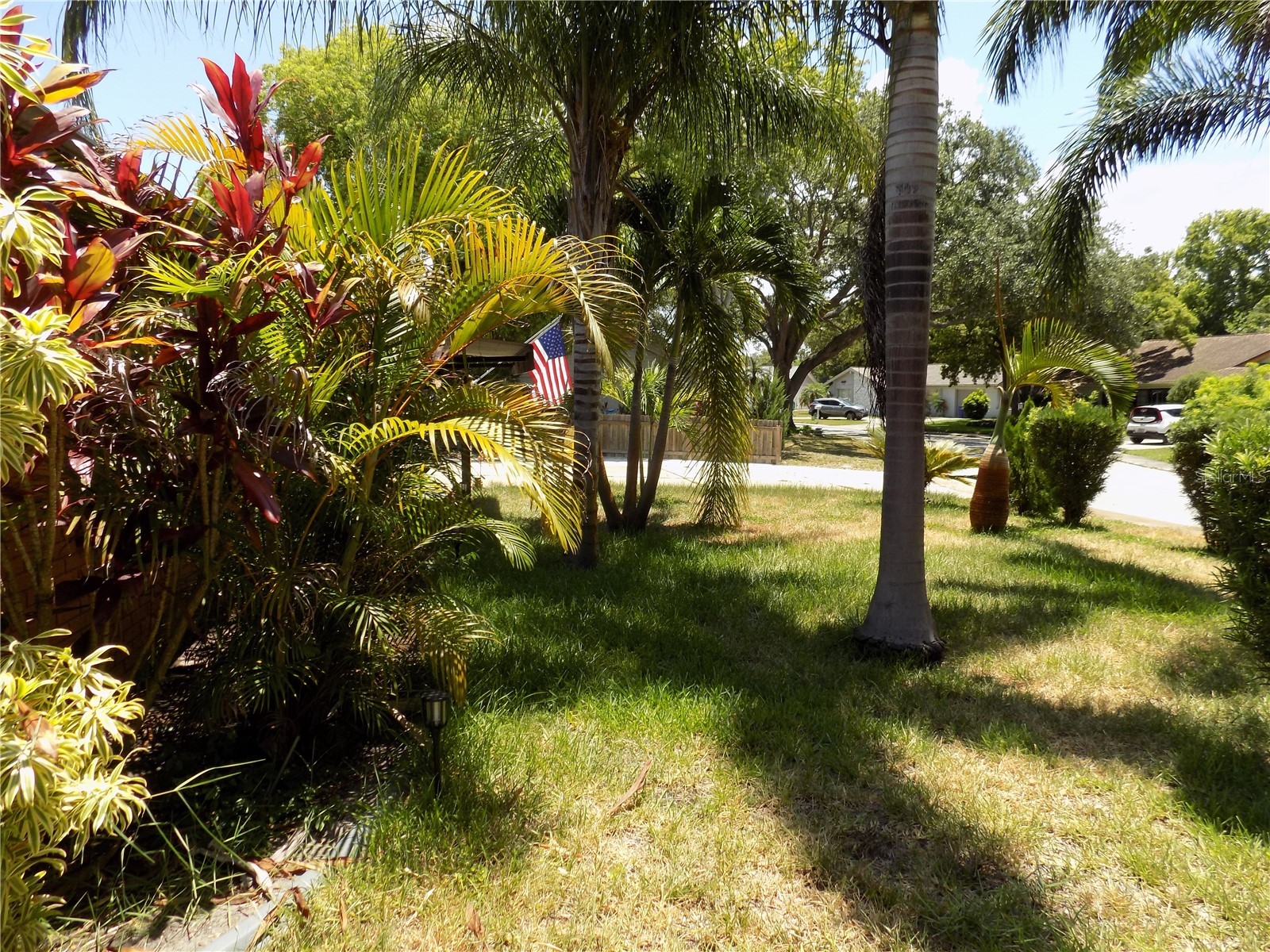 3849 Edgemont Drive New Port Richey FL 34652 W7887221 image24