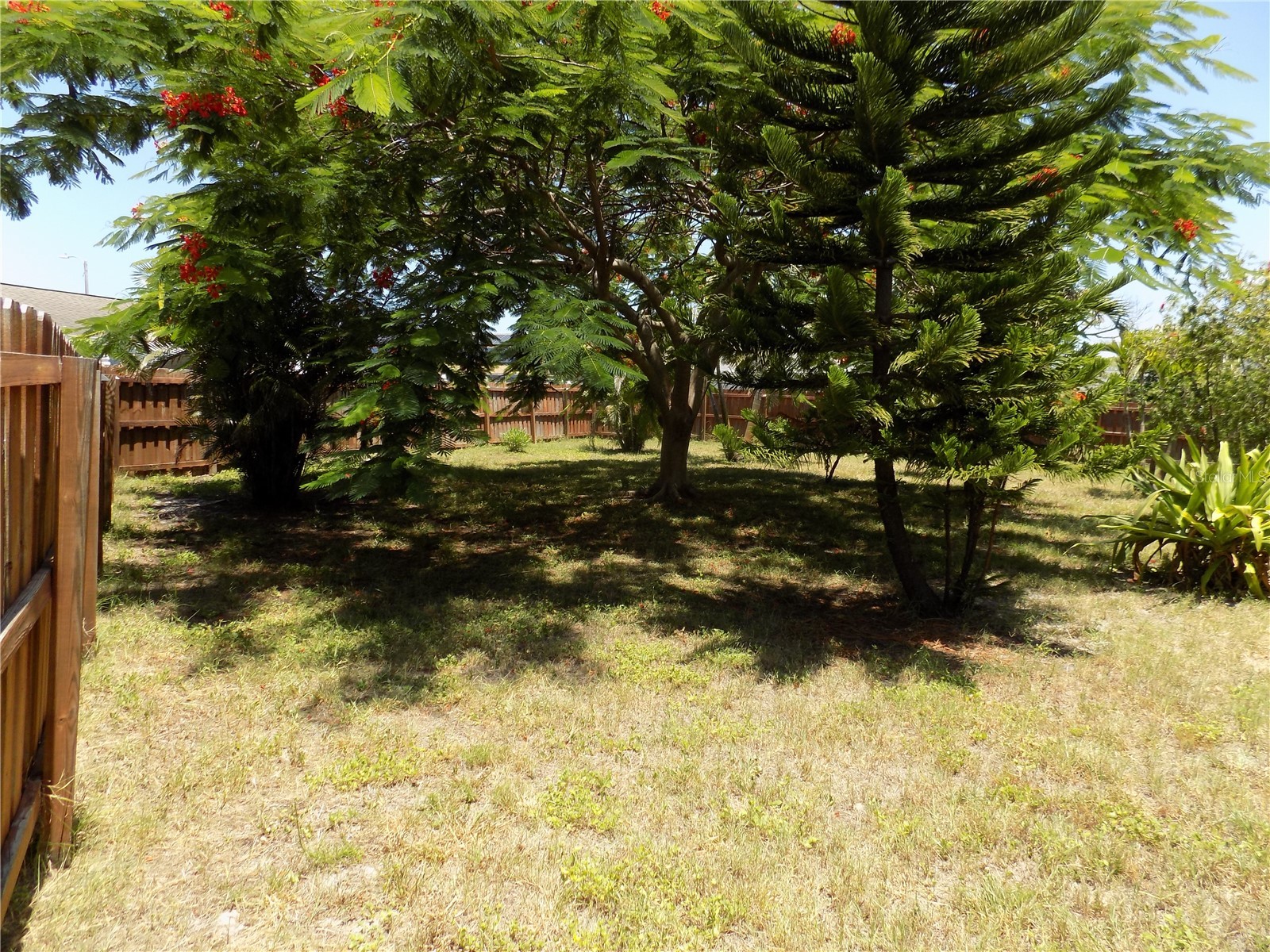 3849 Edgemont Drive New Port Richey FL 34652 W7887221 image29