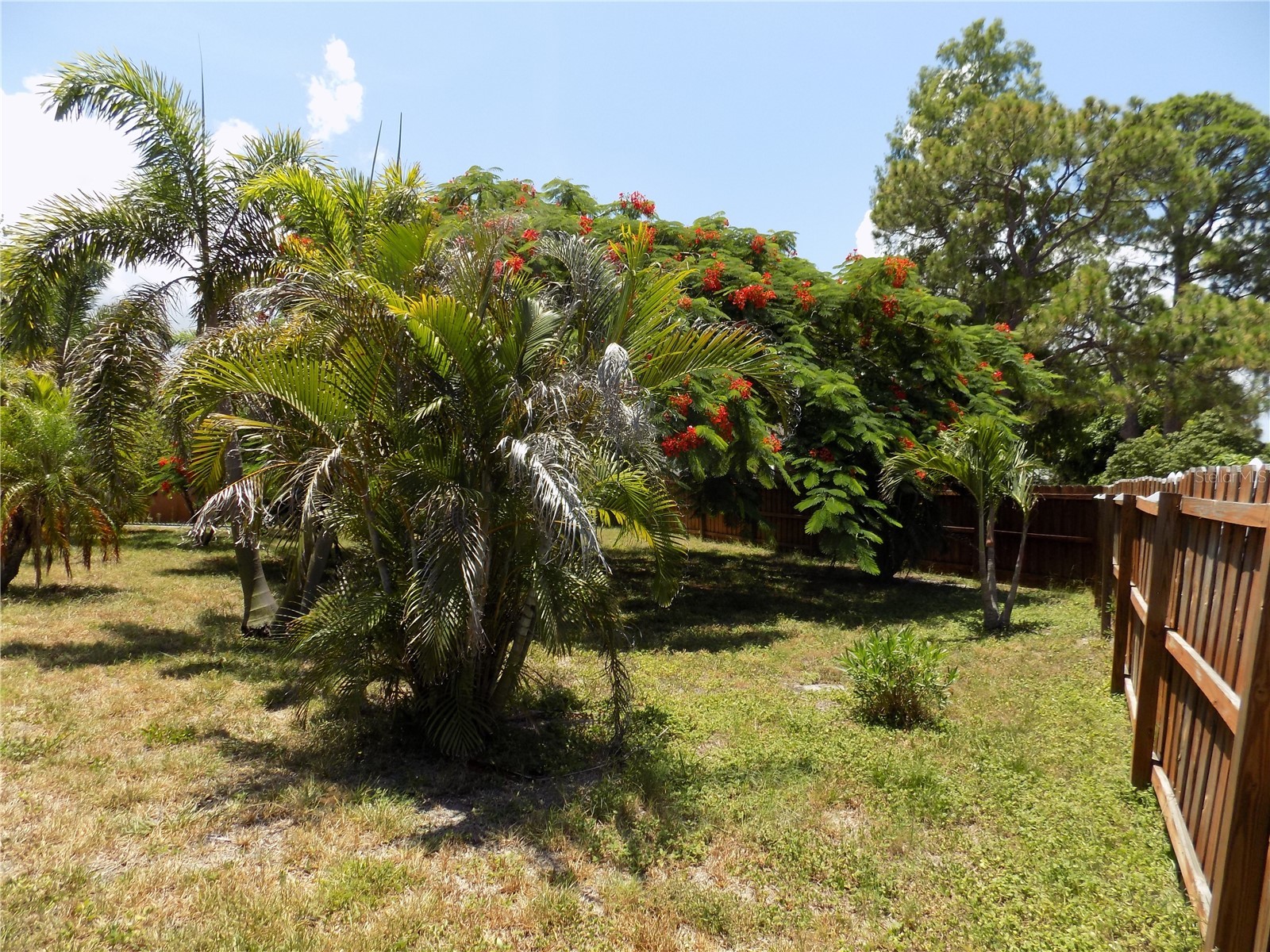 3849 Edgemont Drive New Port Richey FL 34652 W7887221 image31