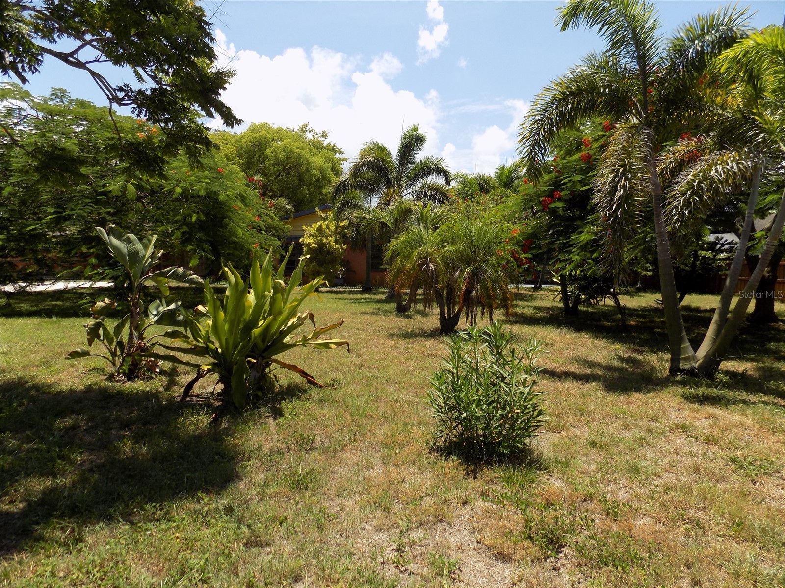 3849 Edgemont Drive New Port Richey FL 34652 W7887221 image33