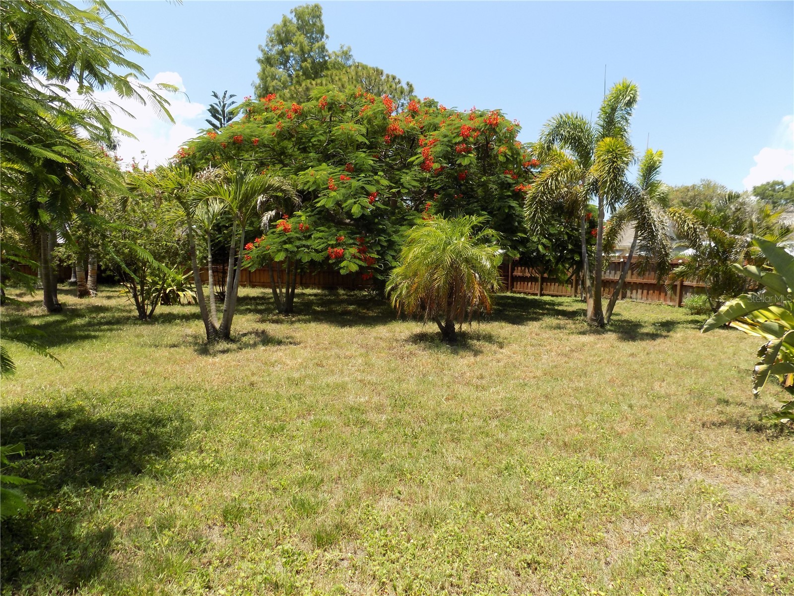 3849 Edgemont Drive New Port Richey FL 34652 W7887221 image34