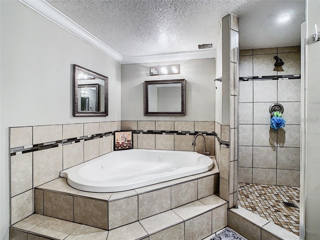 3849 Round Lake Road Zellwood FL 32798 O6338445 image18