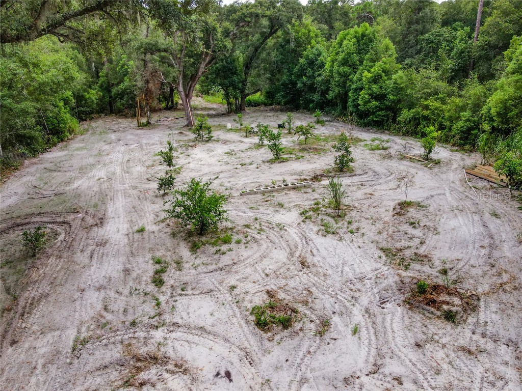 3849 Round Lake Road Zellwood FL 32798 O6338445 image31