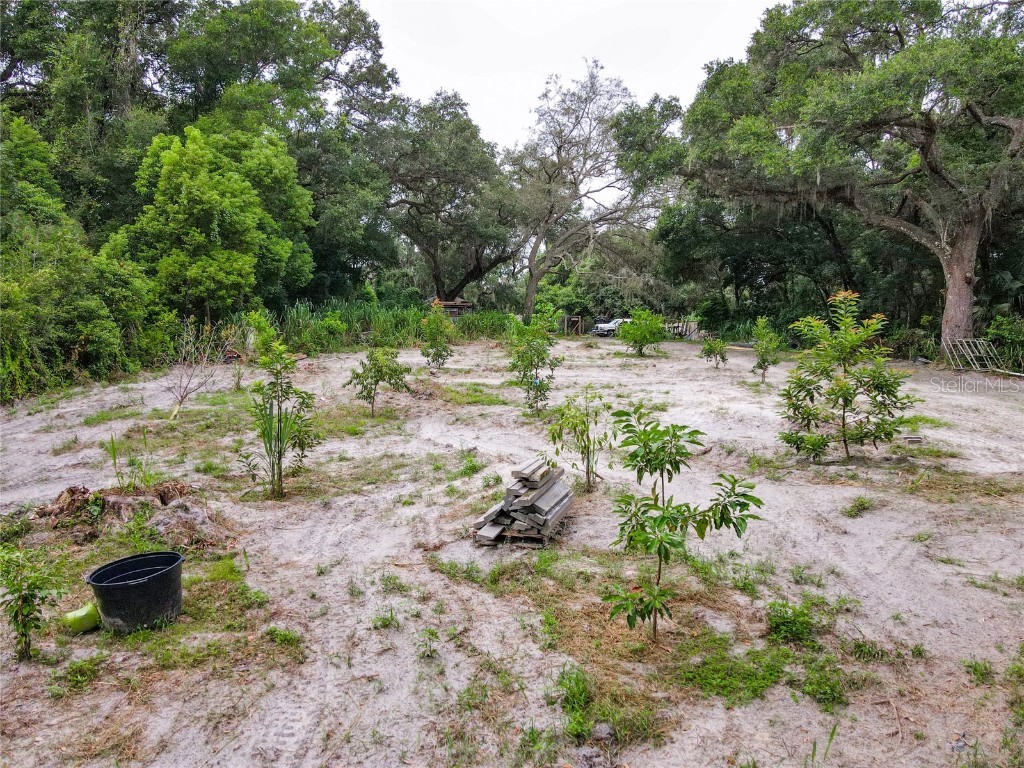 3849 Round Lake Road Zellwood FL 32798 O6338445 image37