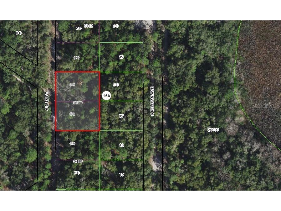 3849 S Ibis Point Inverness FL 34450 G5096590 image1